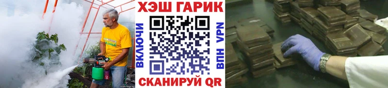 MEGA онион Торопец Гашиш хэш закладки